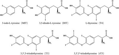 Thyroid Hormones in Sediment and Water: Method Validation and Detection in Taihu Lake of China